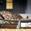 macchi205-iaf