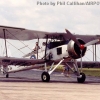 YAF-FI-FaireySFish-12
