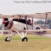YAF-FI-FaireySFish-8