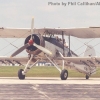 YAF-FI-FaireySFish-9