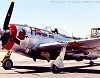 YAF-P47-Hun-pow