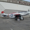 p51-mang p51-mang