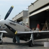 p51-mangm4 p51-mangm4