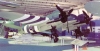 01RAFM-mosquito-2
