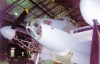 01RAFM-mosquito-3