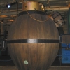 03-ISAM-BushnellTurltle-2 03-ISAM-BushnellTurltle-2