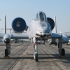 05ToM-A10-hires-5 05ToM-A10-hires-5