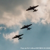 05ToM-B17-4 05ToM-B17-4