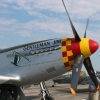 05ToM-P51-4 05ToM-P51-4