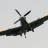 06-TOM-spitfire-hires-4 06-TOM-spitfire-hires-4