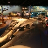 IMG_8111 - Copy