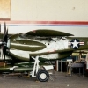 bronco bronco